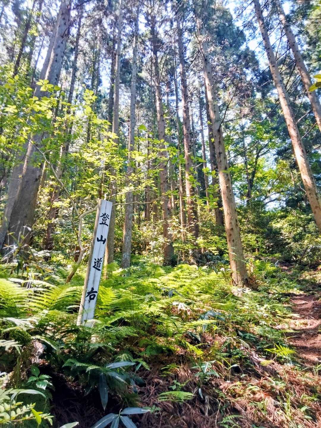 途中の登山道案内表示👍️🐾