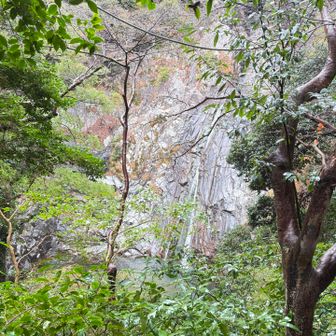 今日は雨のせいかほとんど人に出会わず、静かな山行でした。それもまた、風情があって良かったです✨
付き合って下さった先輩に感謝🙏
ありがとうございました😊