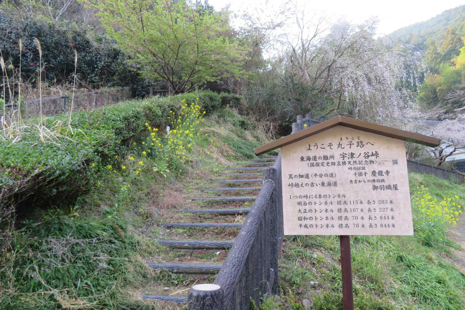 道の駅向かって右が登山口。奈良時代からの古道「蔦の細道」