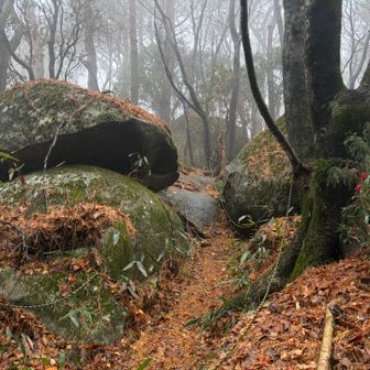 巨石たちが出迎え
