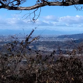 右に写っているのが三毳山、ここにも🐻が出たとの情報あり