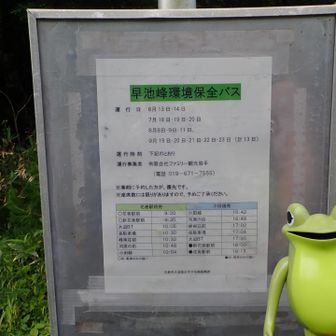 時間が合えばバスで林道歩きを回避