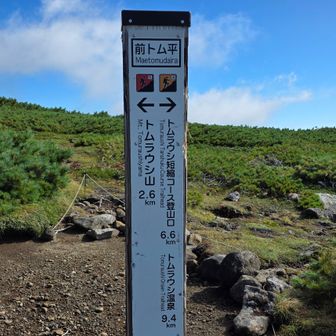 やっと前トム平
