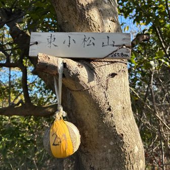 11　東小松山　🎾24番