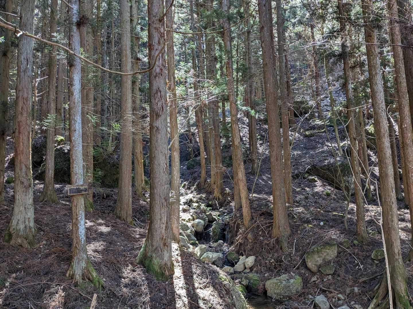 よく見ると向こうにも看板が