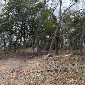 ここが後円の部分かしら