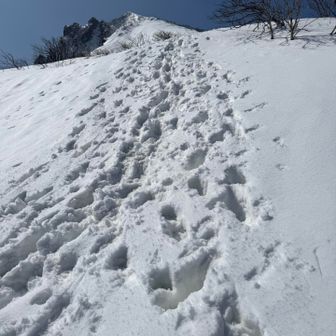 トレース外れても
新しい雪の下は硬いから
沈んでも足首くらい