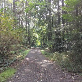 山路ゲートに戻りました👍