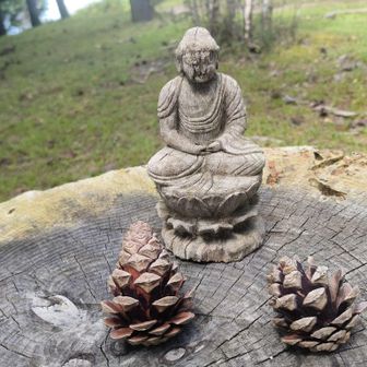 山頂にありました。
何方かが置かれたのでしょうか?
雨に晒されてしまうけど？
いいのかなぁ！