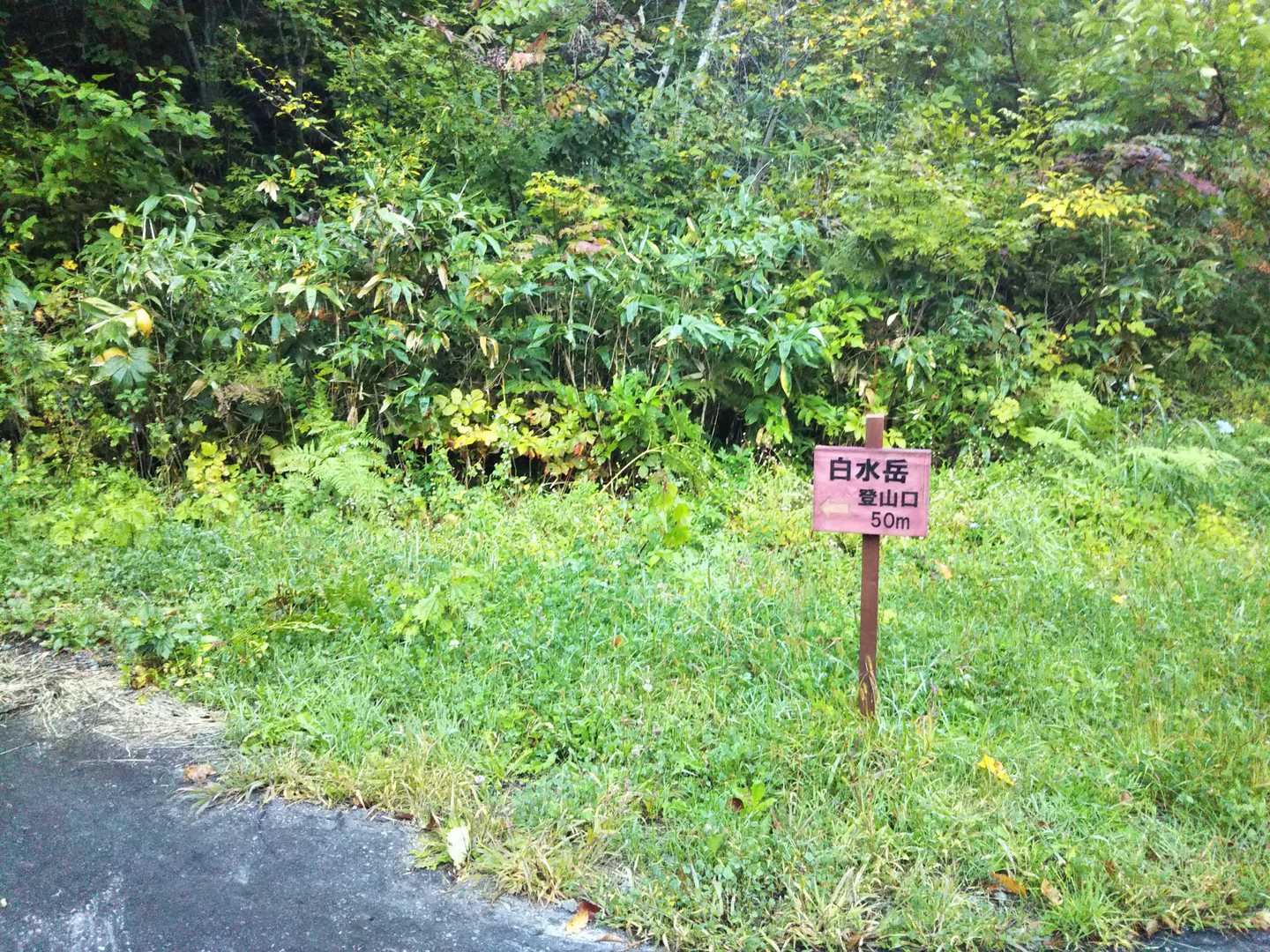 白泉岳-中白水岳 往復コースの写真