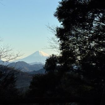 地蔵山からの富士山^_^