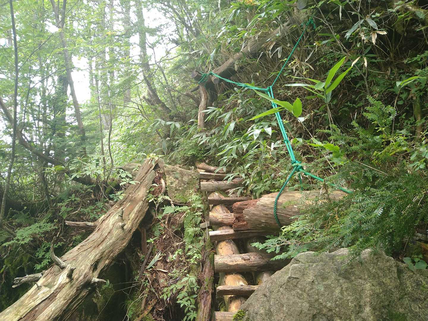 笹滑ってヤバい😅
あと旅行でこさえたお肉が重い🍖