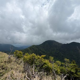 山頂から📸