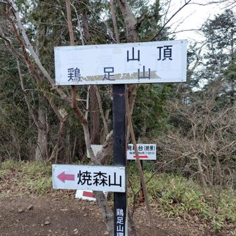 鶏足山（けいそくさん）山頂
なんですが、あら？