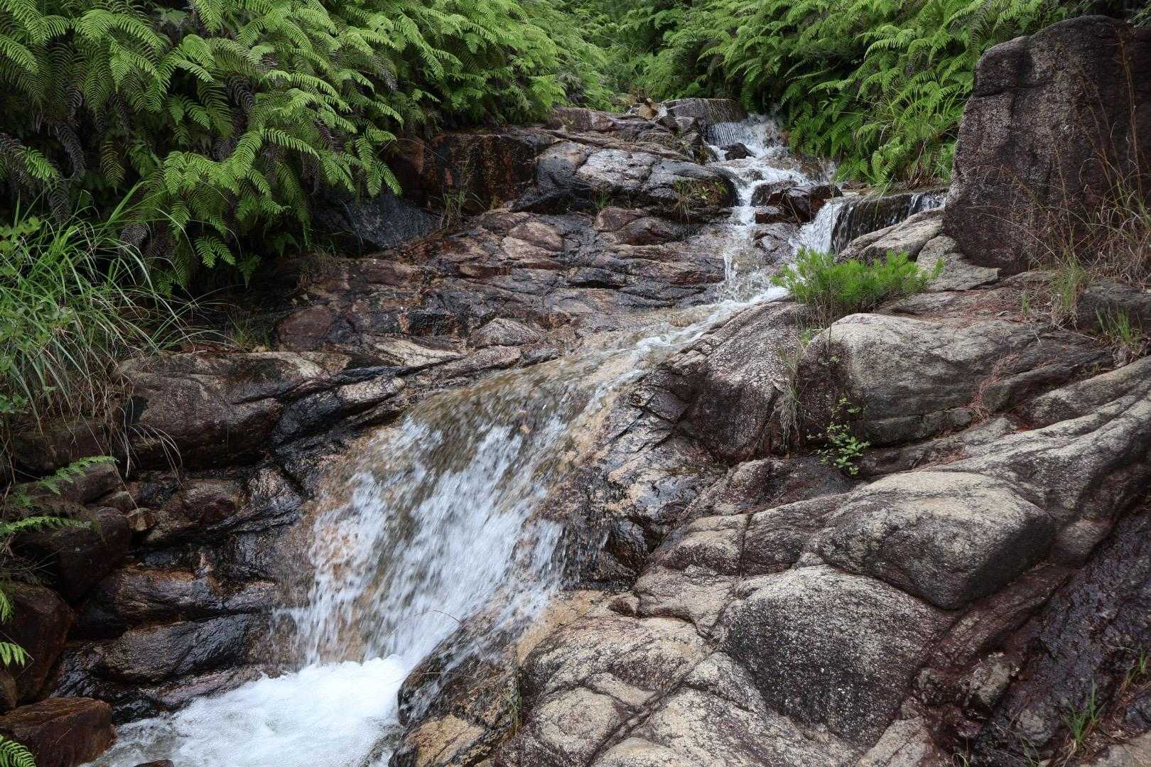 いつもより水量多い沢‼️😳