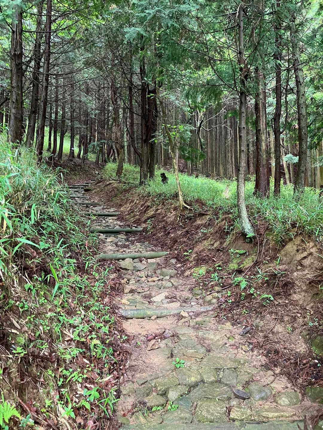 さぁ…登ります🚶‍♂️