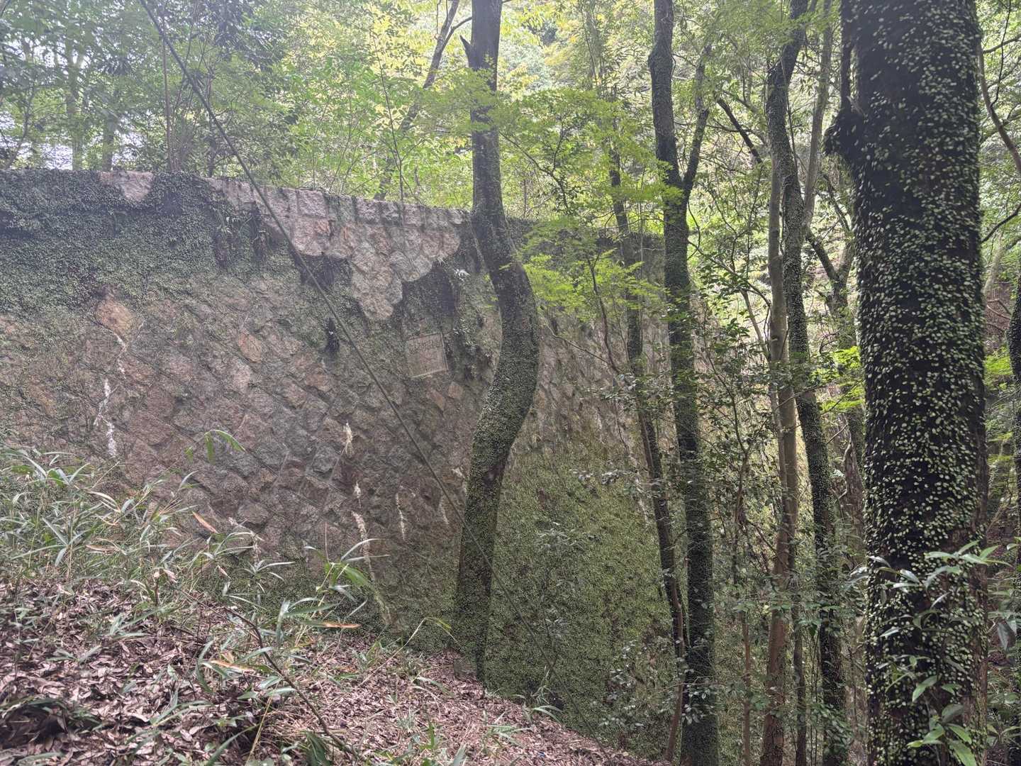 立派な堰堤！
