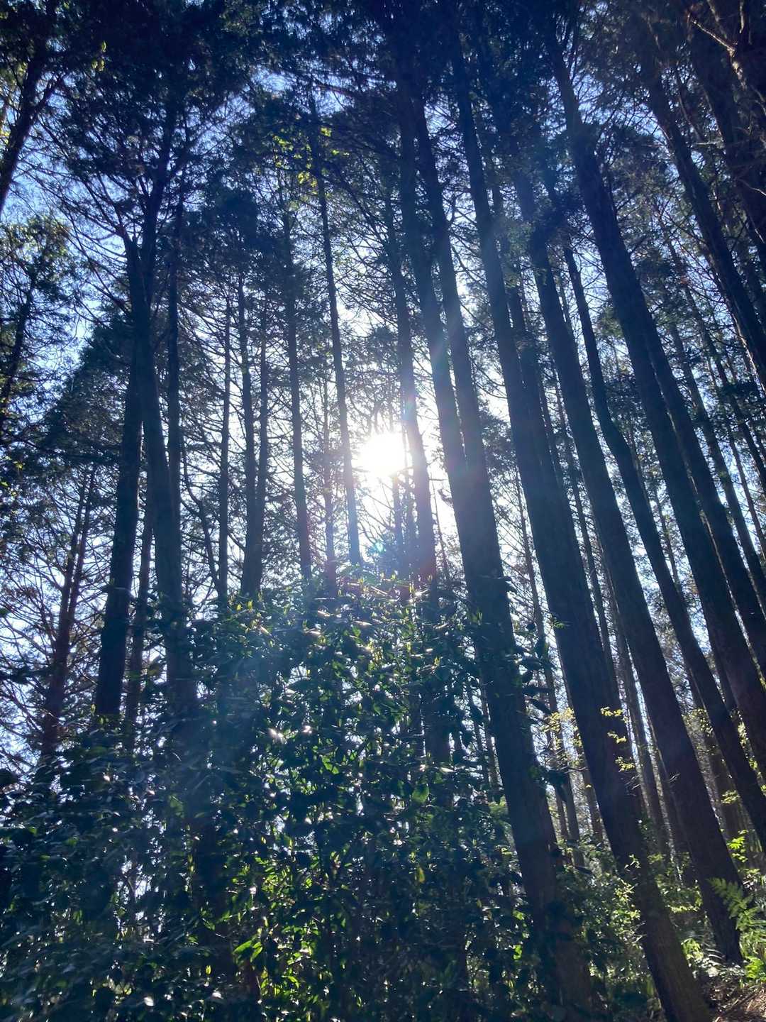 (о´∀`о)✨