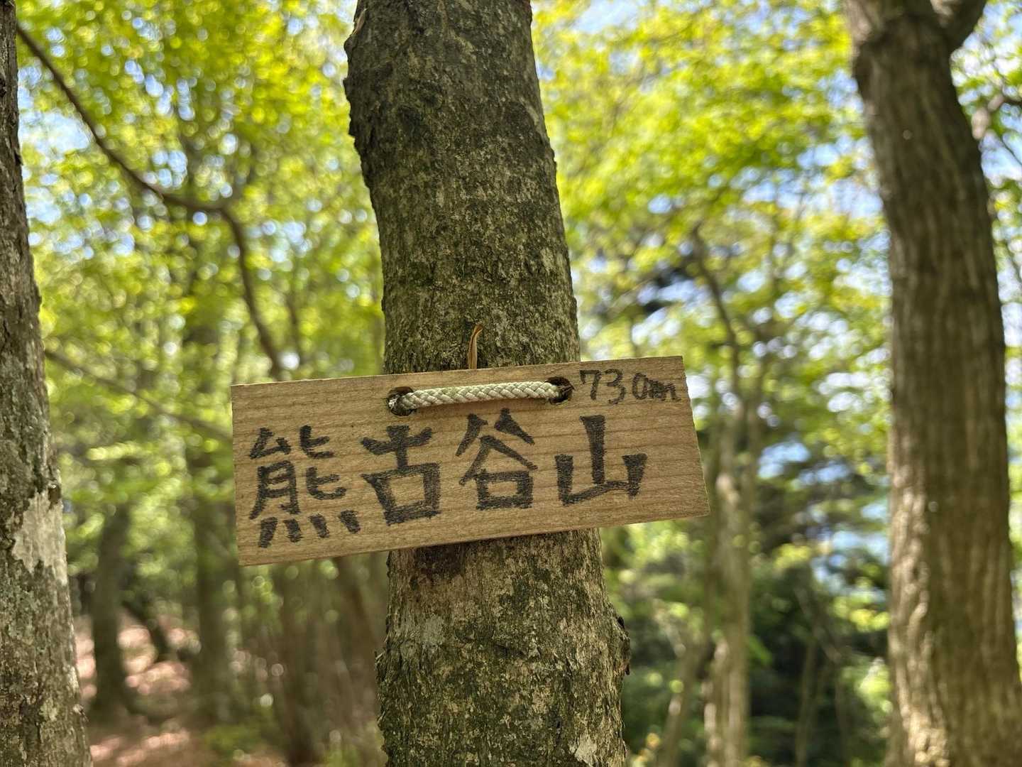 熊古谷山730ｍ 山標は細い木にありました☺️