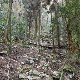 荒地を抜けたら舗装路に復活。
進むとこんな道へ
結構な距離登ります。
次回はここを回避したルートを探したい…