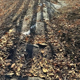 うーん、陽が傾いてきたな。