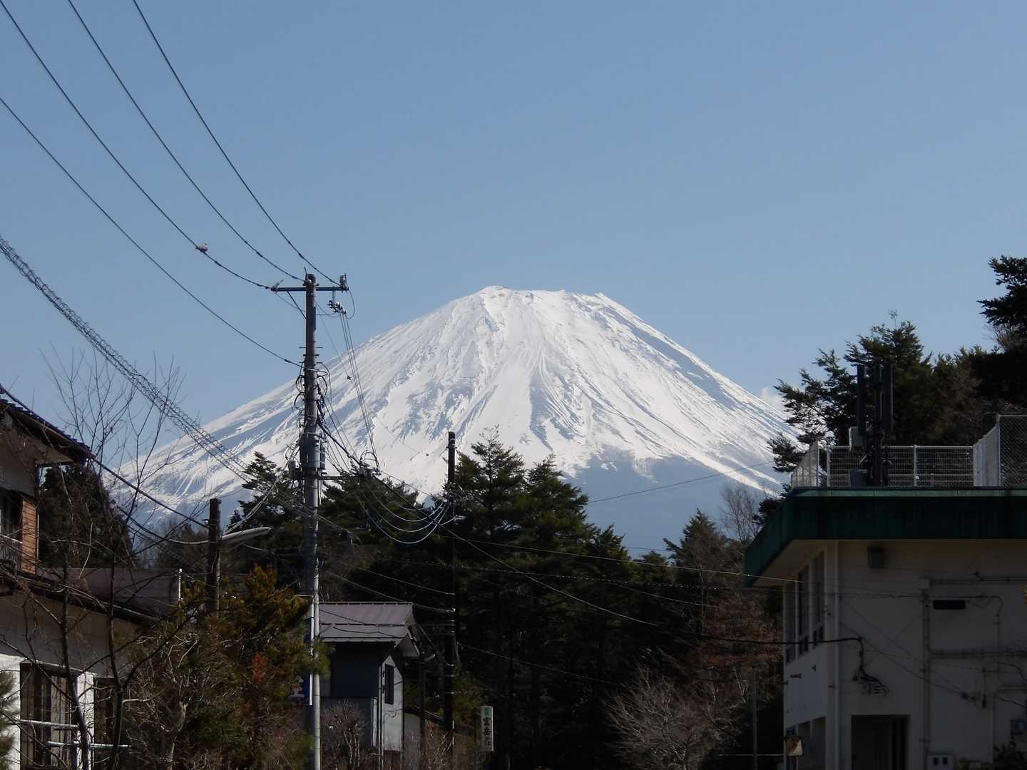 遊歩道を出たら、いきなり富士山ドーン＼(^o^)／