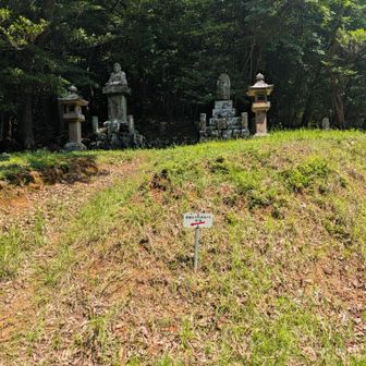 振り返ると