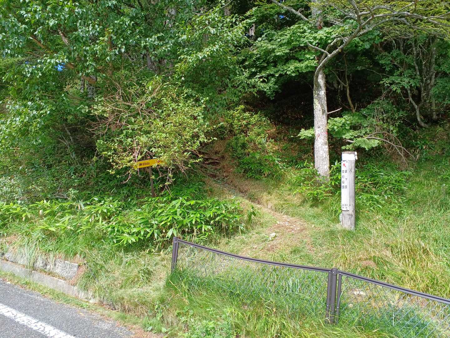登山口   いかにもマイナー