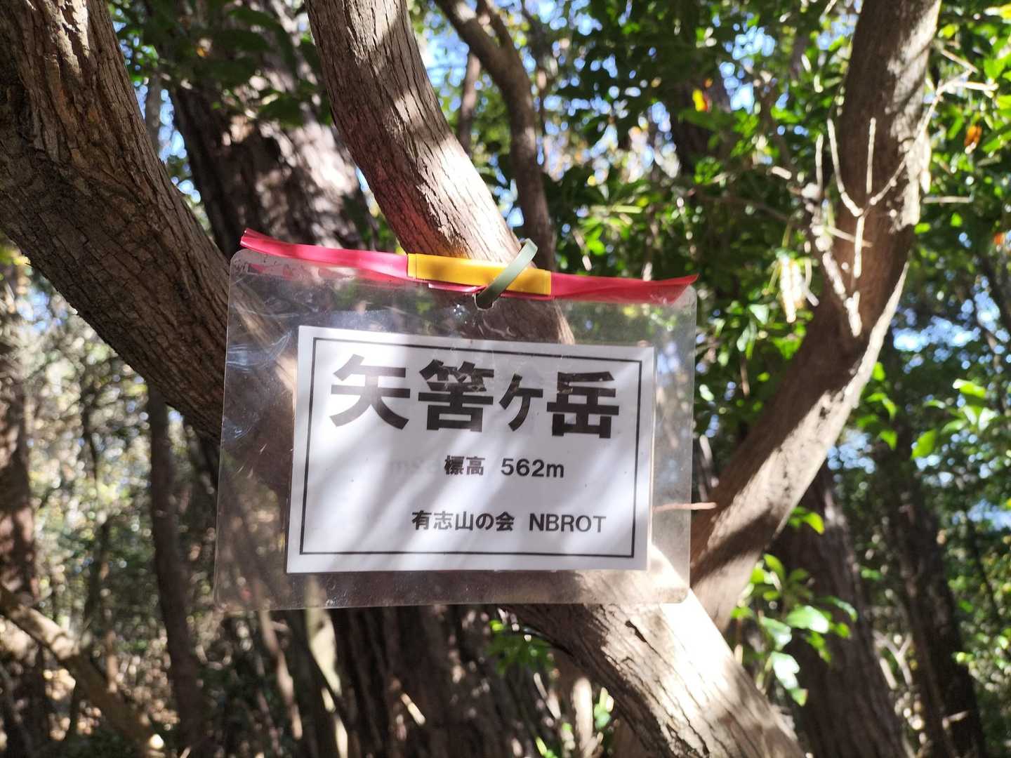 矢筈ヶ岳到着。