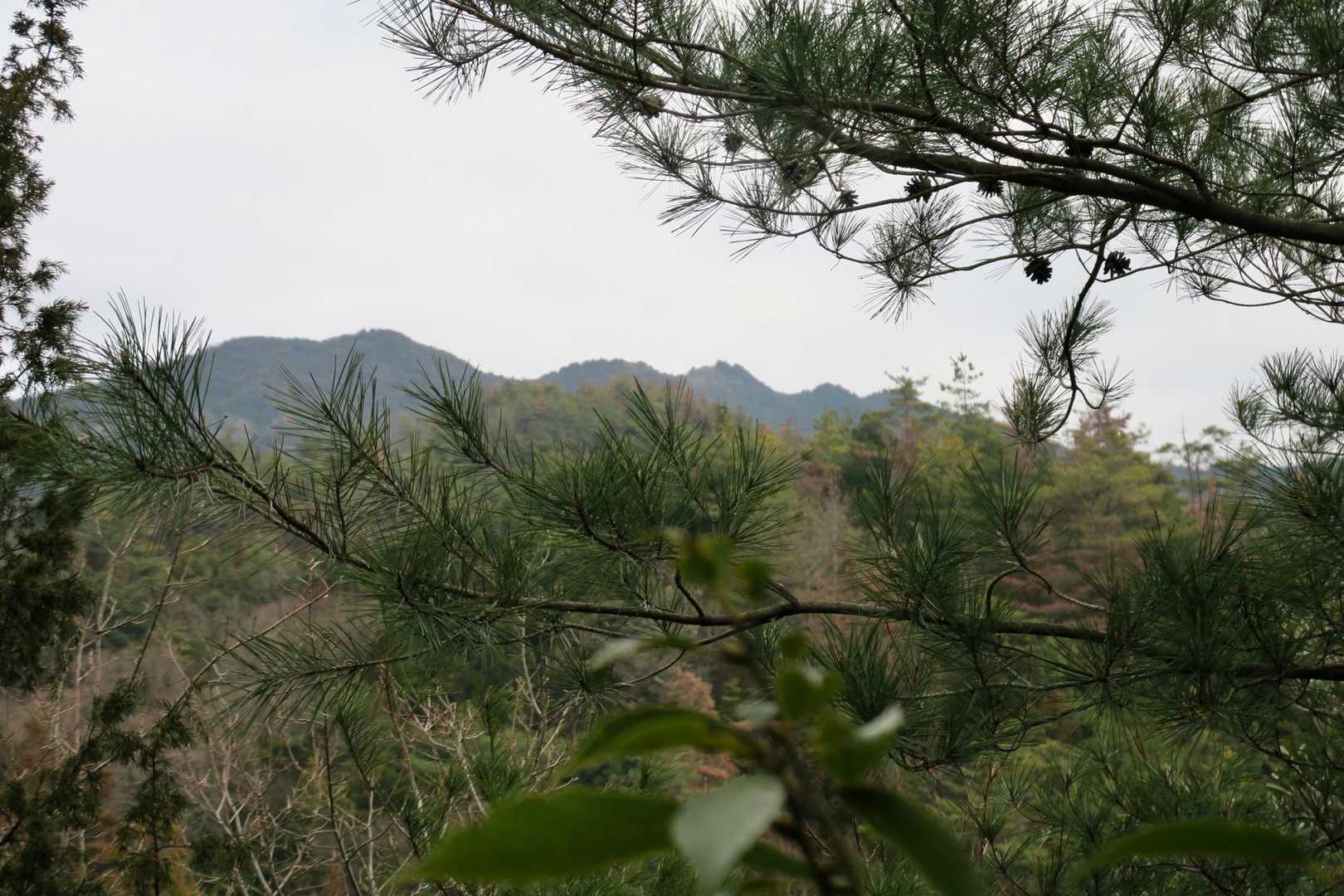 三ヶ岳👀