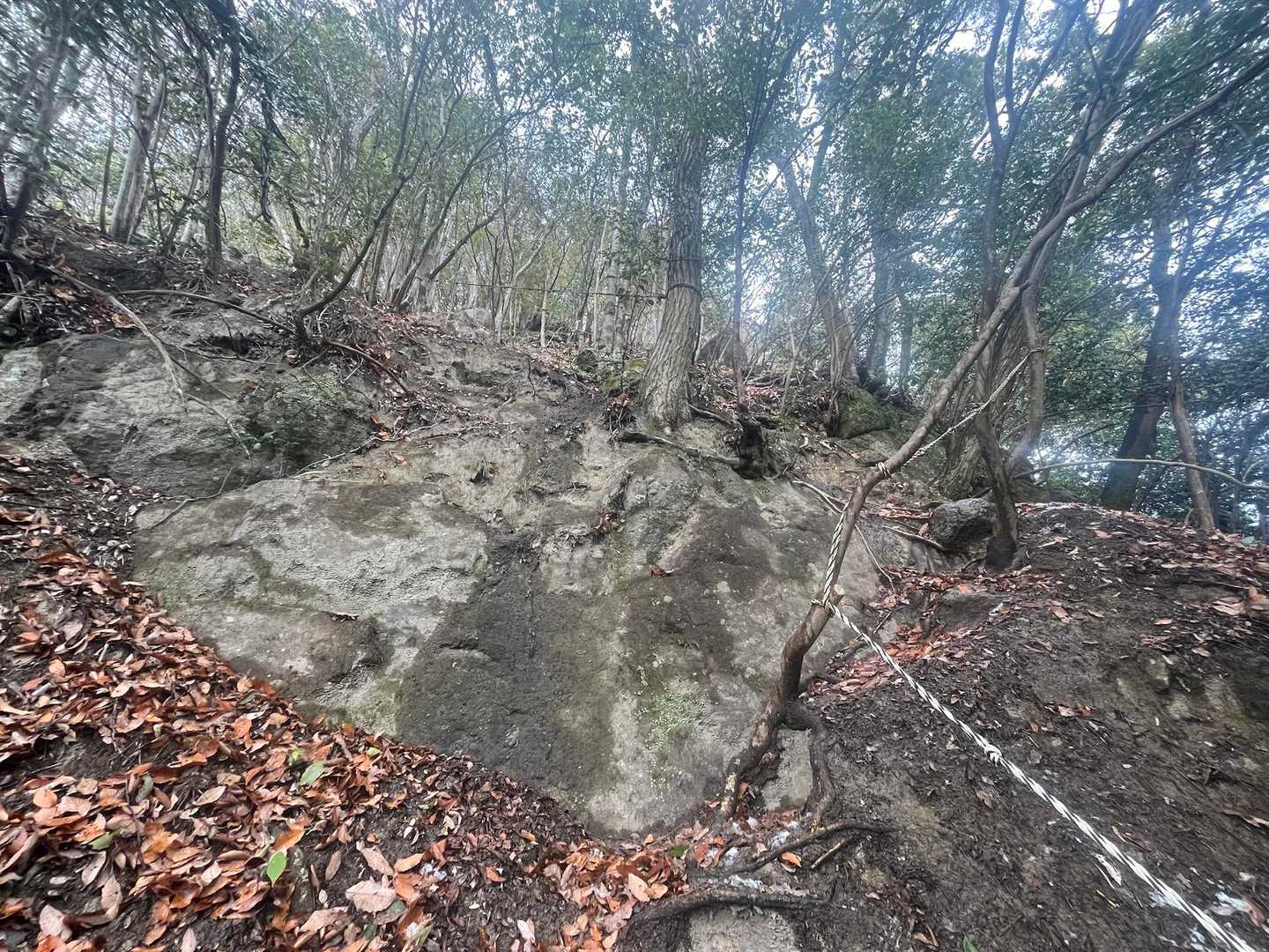 がまん坂〜長い坂も一歩ずつ〜

こういうありがたい教えをいただけるのが
登山の魅力なのです。知らんけど。