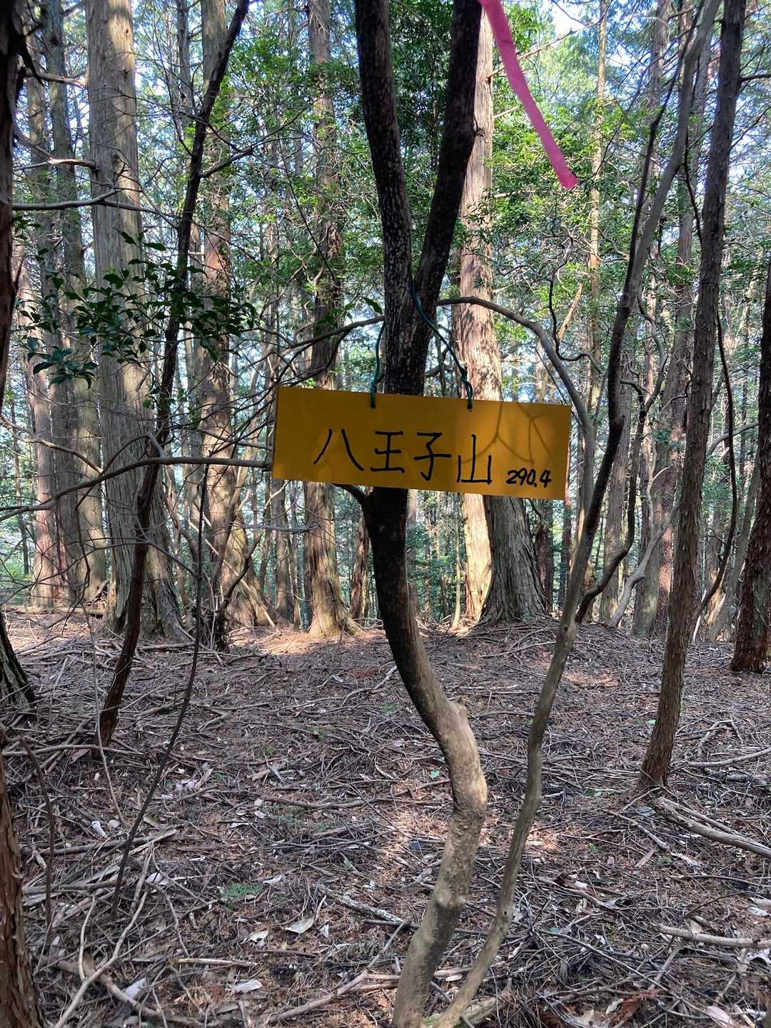 八王子山到着です〜⛰️290㍍、眺望なし