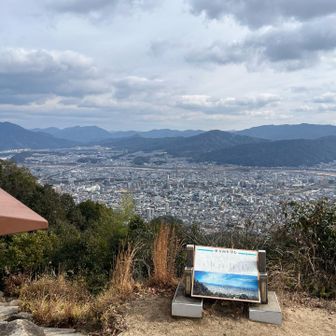 やっぱりこっち向きでしょ✌️