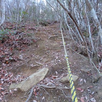 なかなかの急登