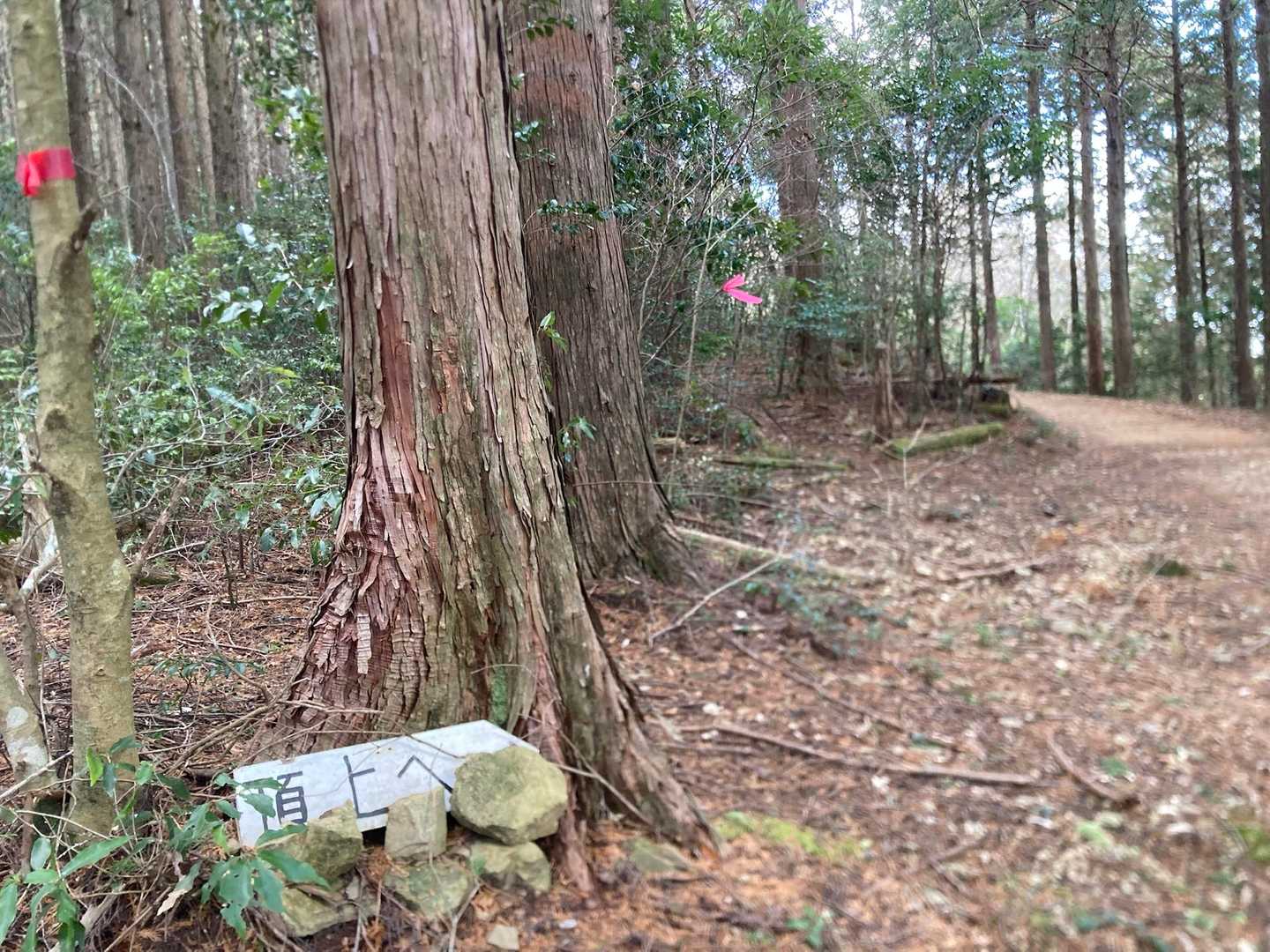もうすぐ😅