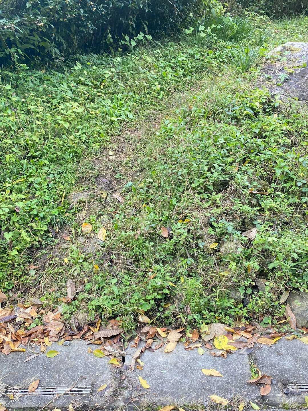最後に迷って出て来たとこには標識なかった(^-^)