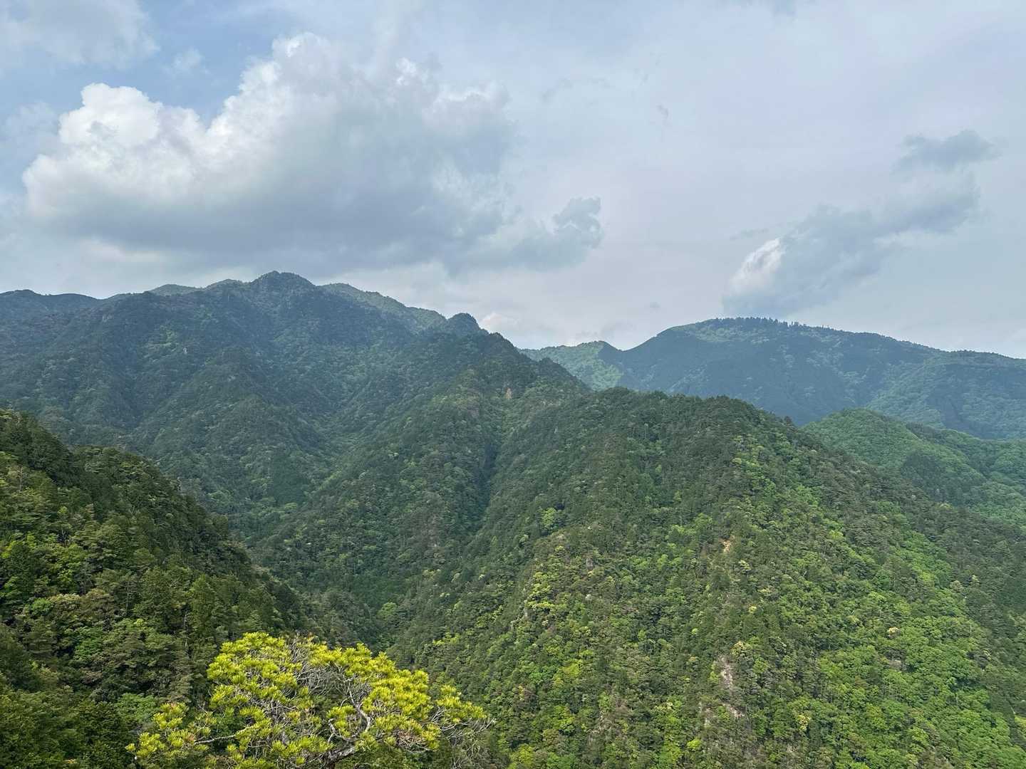 仙ヶ岳が大きく見えます。