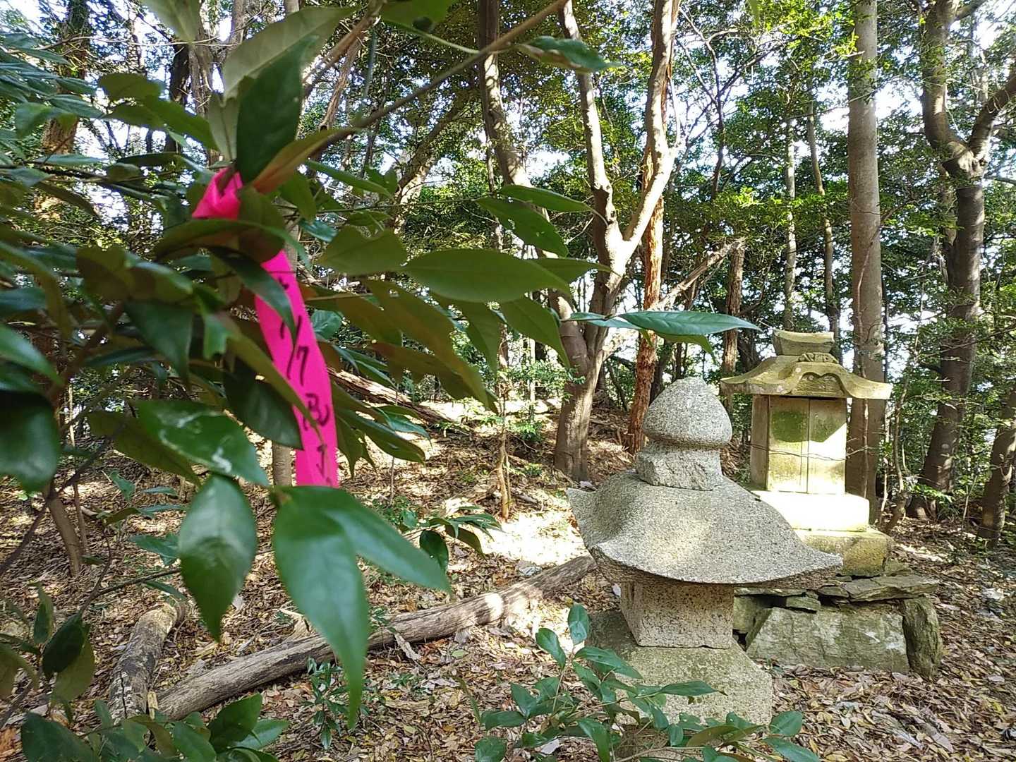 金山 往復コースの写真