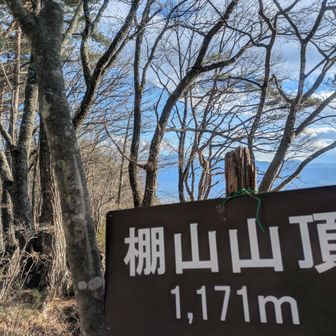 棚山山頂から富士山を望む