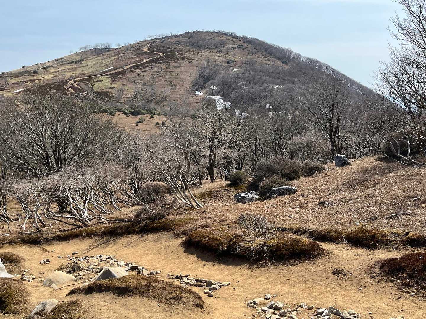 藤原山荘からの藤原岳