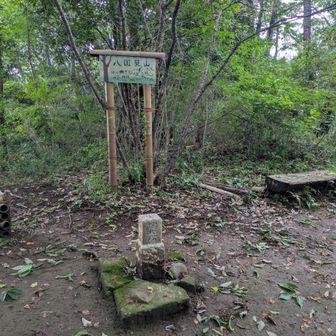 三角点がある八国見山山頂