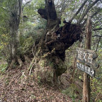 経文石、この隣にある石のことかな？説明文とかないとわかりませんね