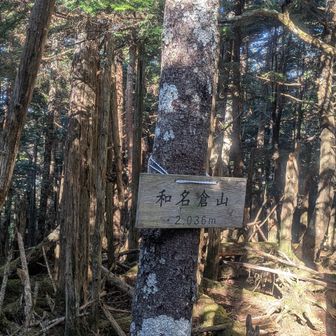 山頂到着〜
関東百名山は全く意識してないのにいつの間にか50座目、二百名山はカウントなし