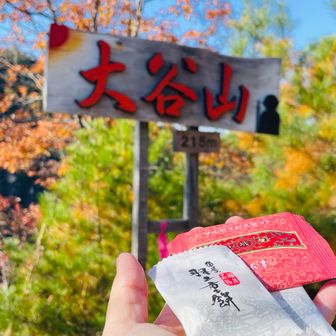 大谷山⛰️オオタニサーン‼︎
モルちゃんからお菓子もらってウマウマ😋