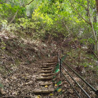 未舗装の登山道になりました。