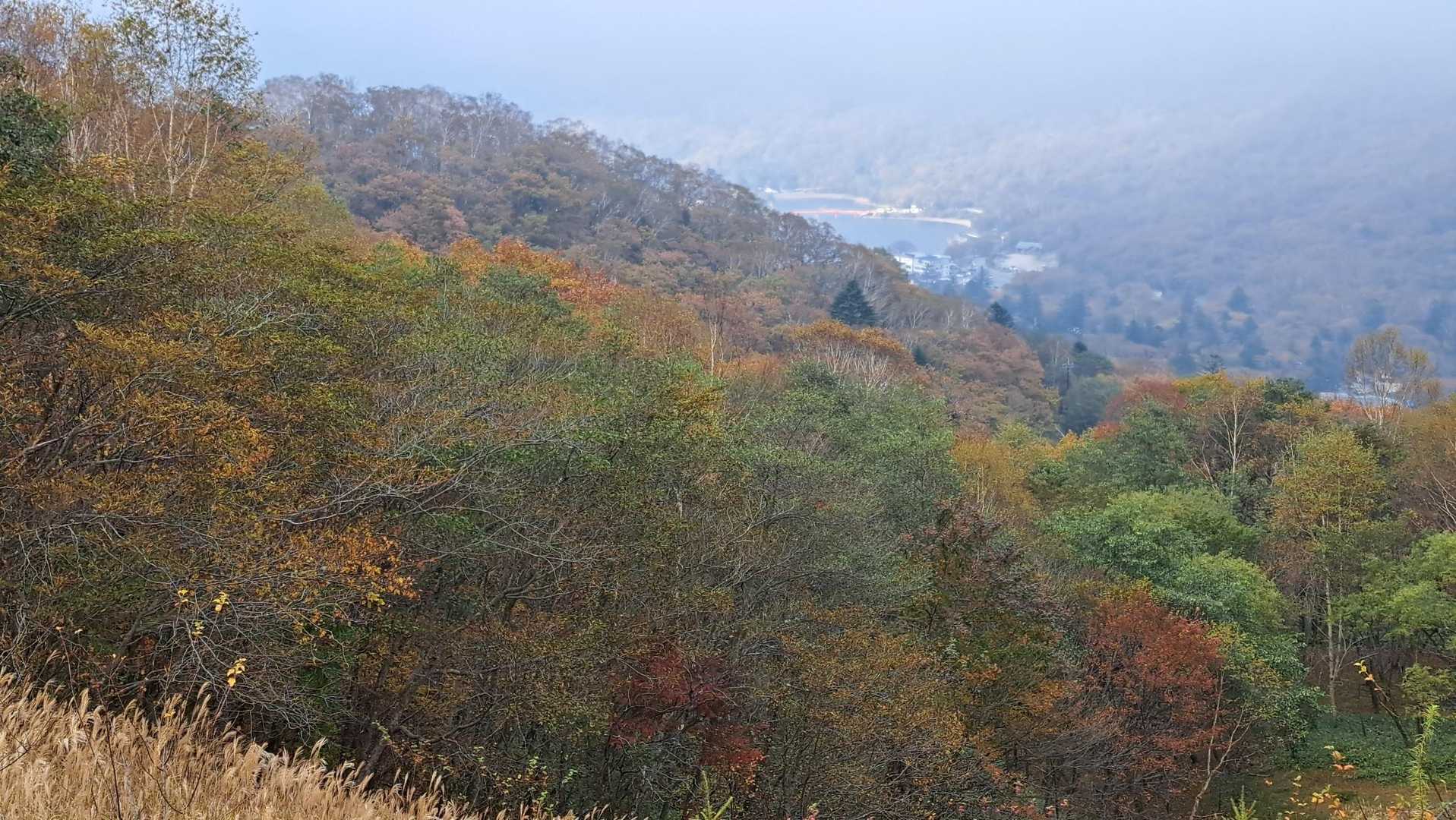 啄木鳥橋が見えています。