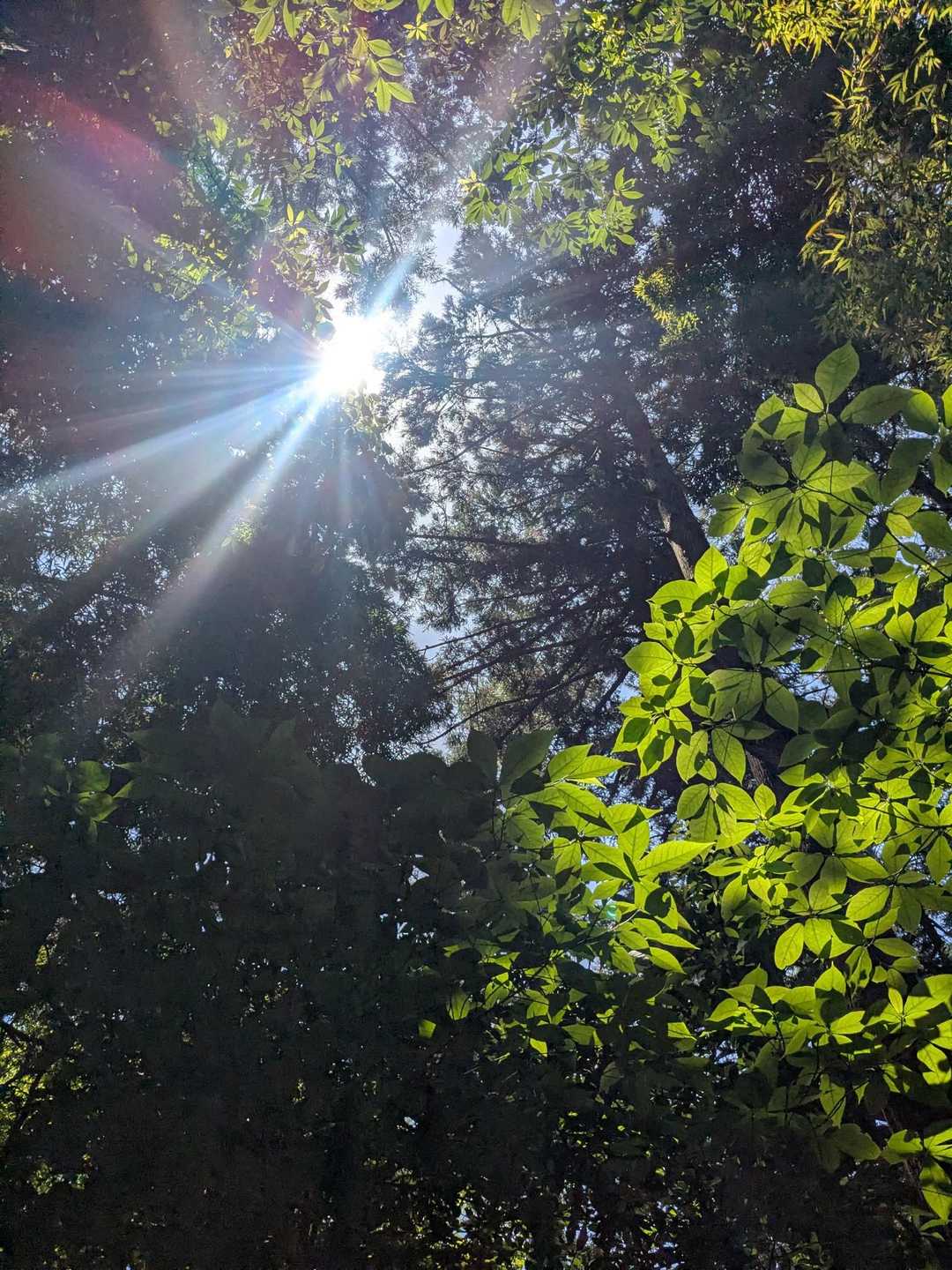 いつもの、、、
それにしても天気良かね〜〜☀️
