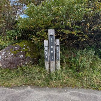 スタートから2200m近いとは！