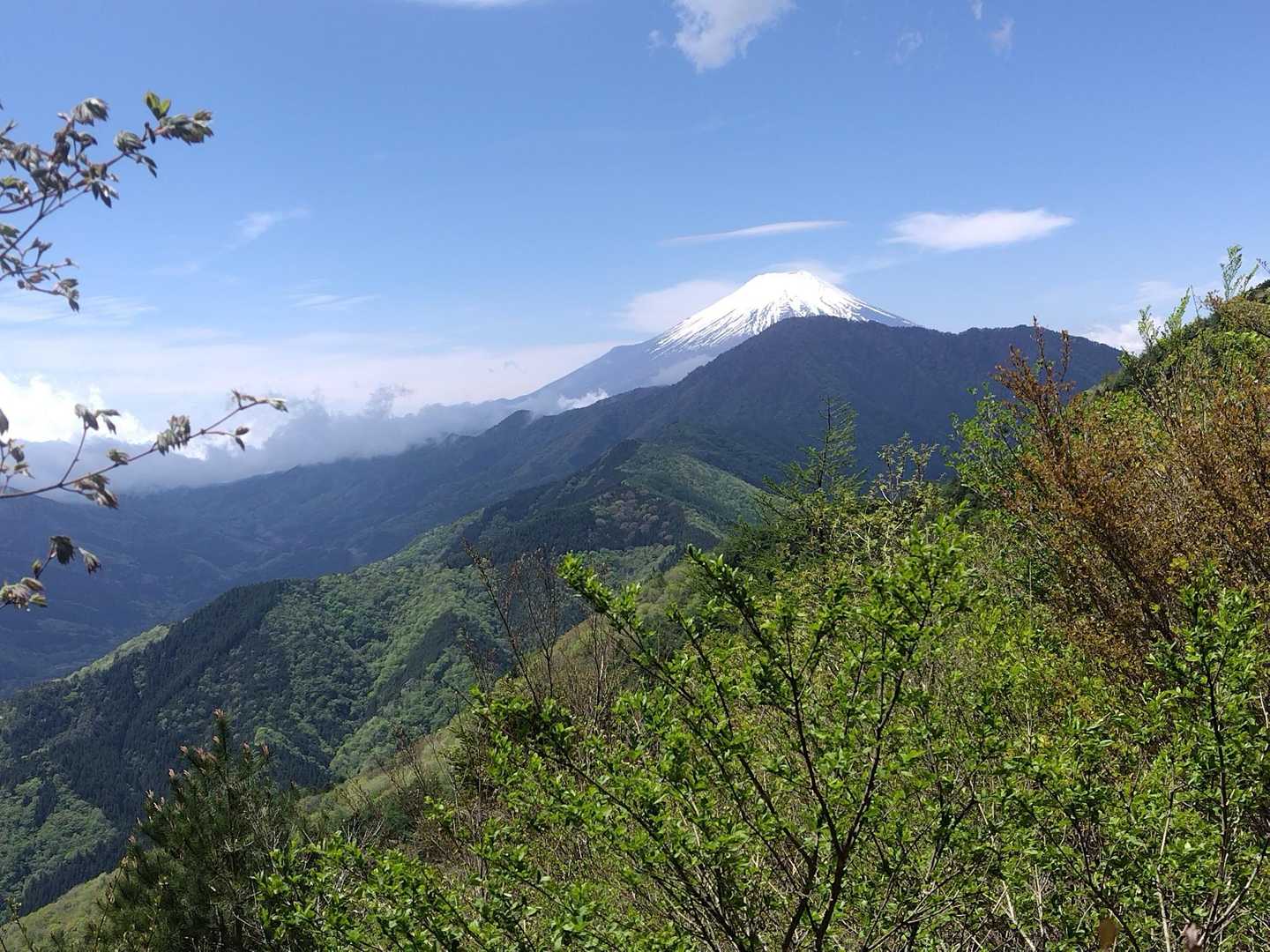 唯一の展望地🗻✨