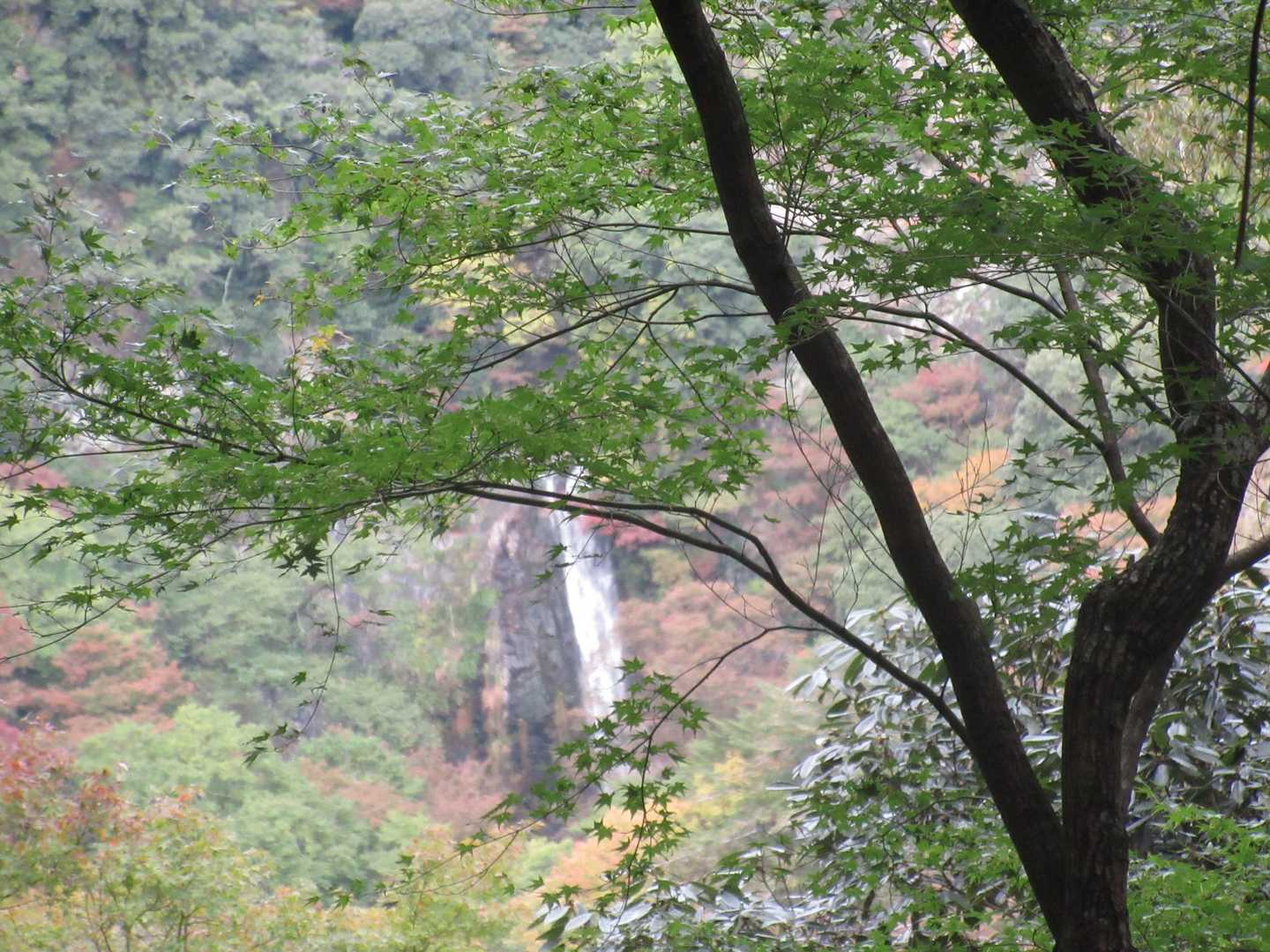 箕面大滝展望スポット